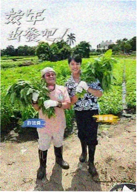 山海情 午马影视免费观看